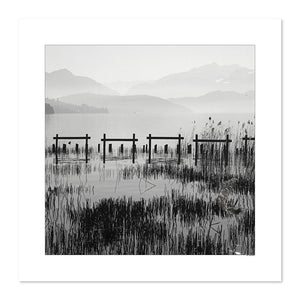 Roseaux du lac d'Annecy sur fond de Bauges, tirage d'Art, Annecy
