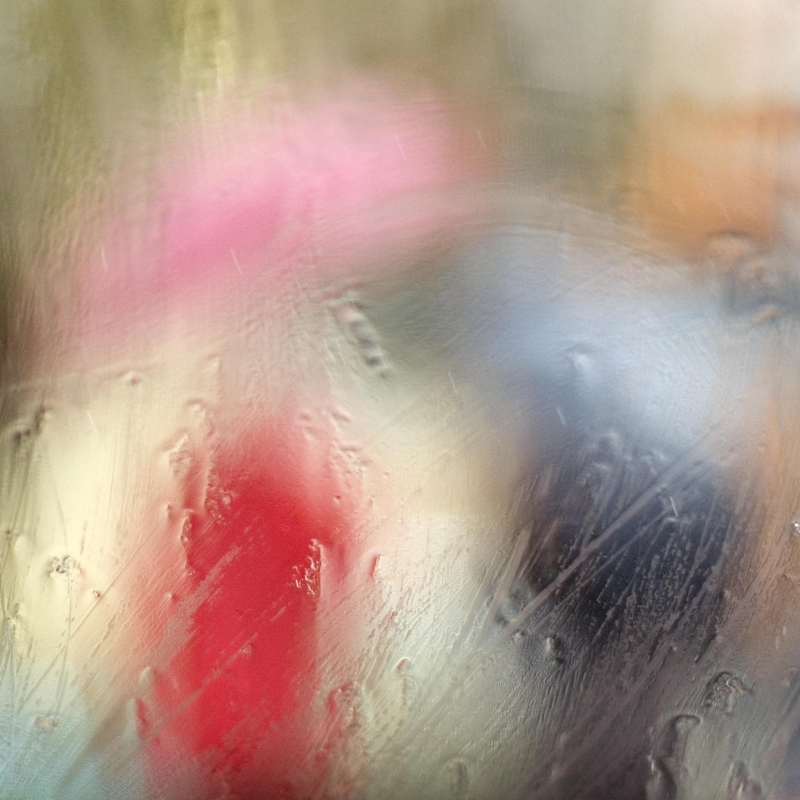 Photo Gwenaël Bollinger Un air flamand - Édition limitée - Galerie 361