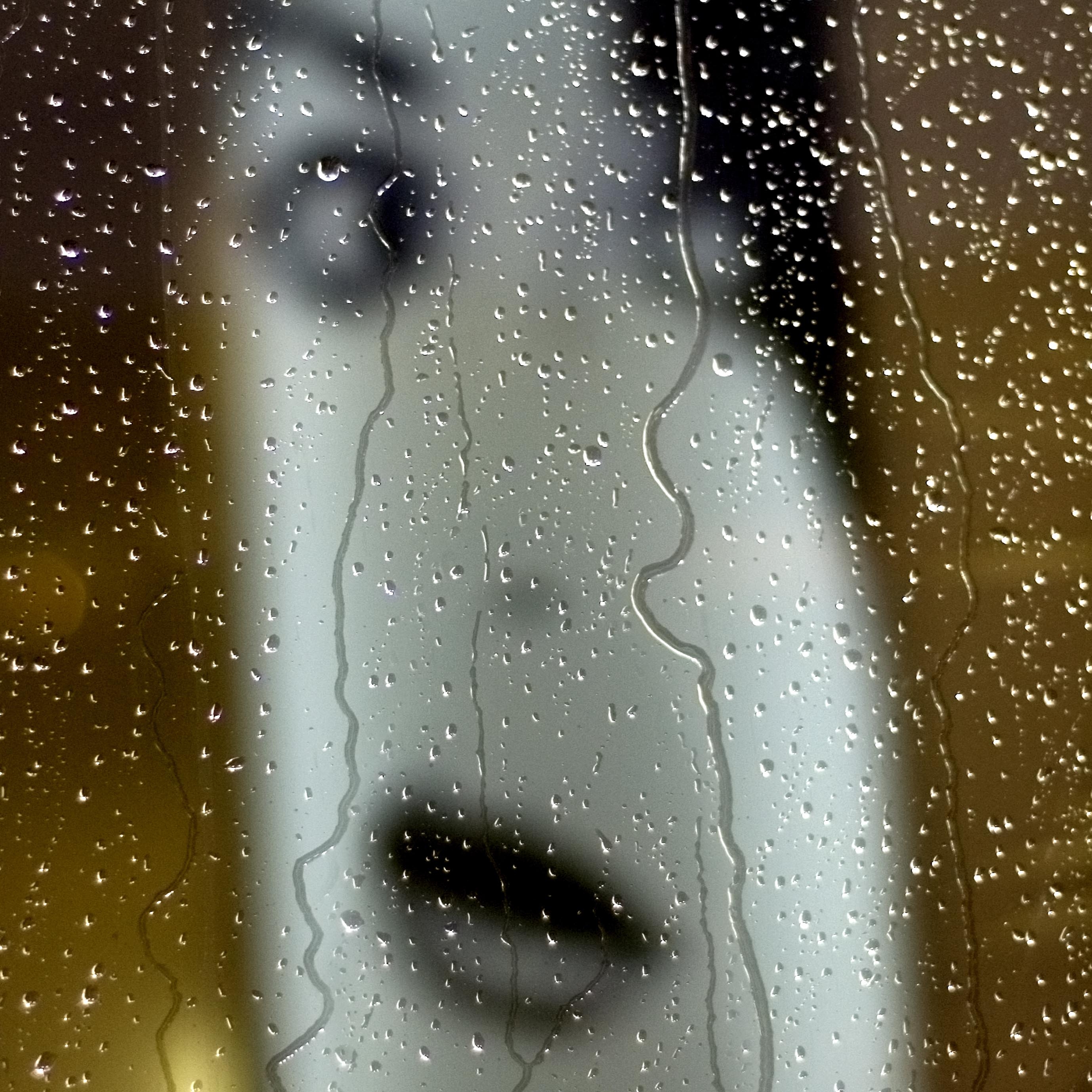 Photo Gwenaël Bollinger Pleurs - Édition limitée - Galerie 361