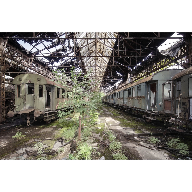 Photo urbex Prendre racine - Hongrie par Chico Lakaï - Galerie 361