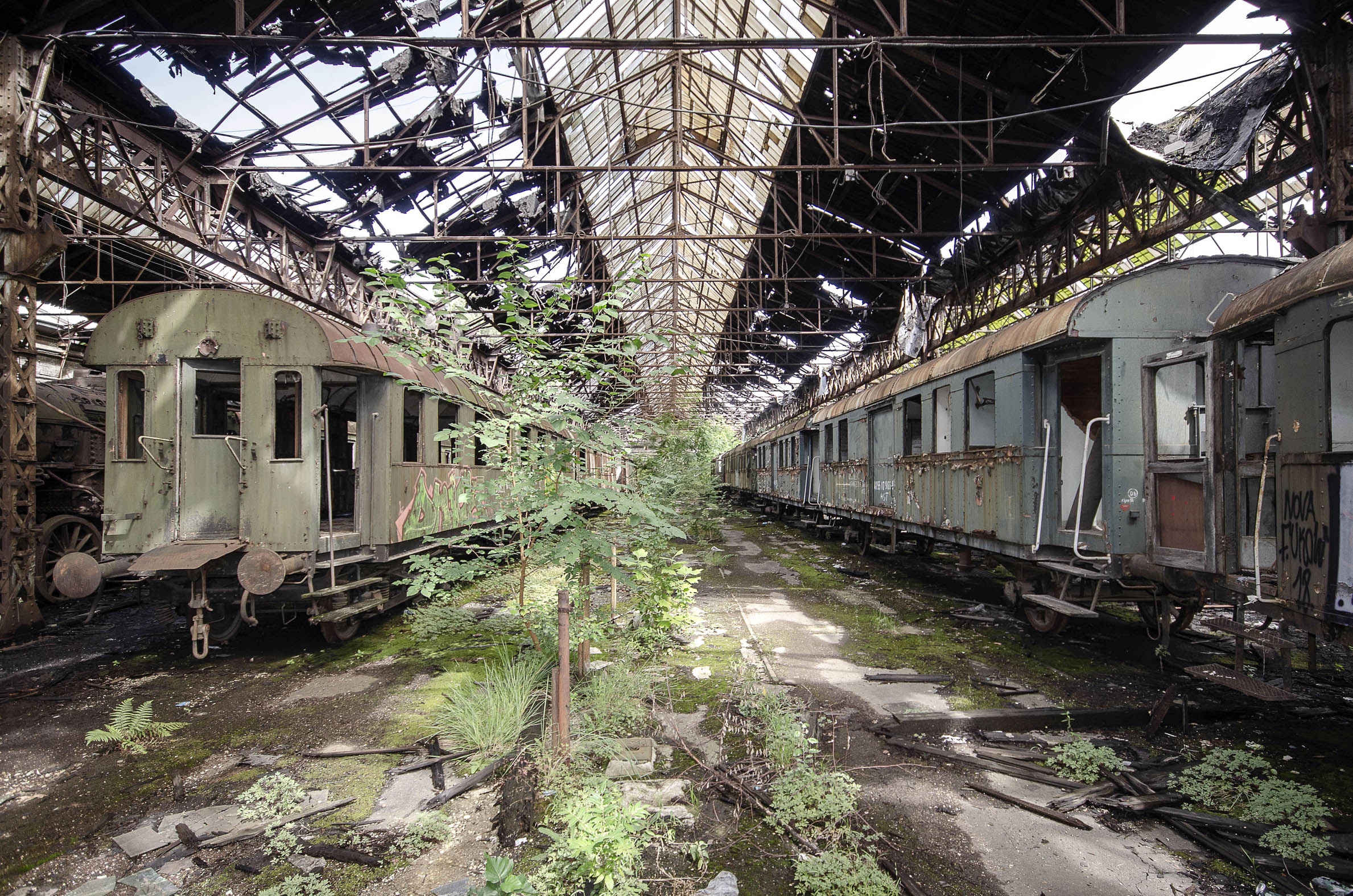 Photo urbex Prendre racine - Hongrie par Chico Lakaï - Galerie 361
