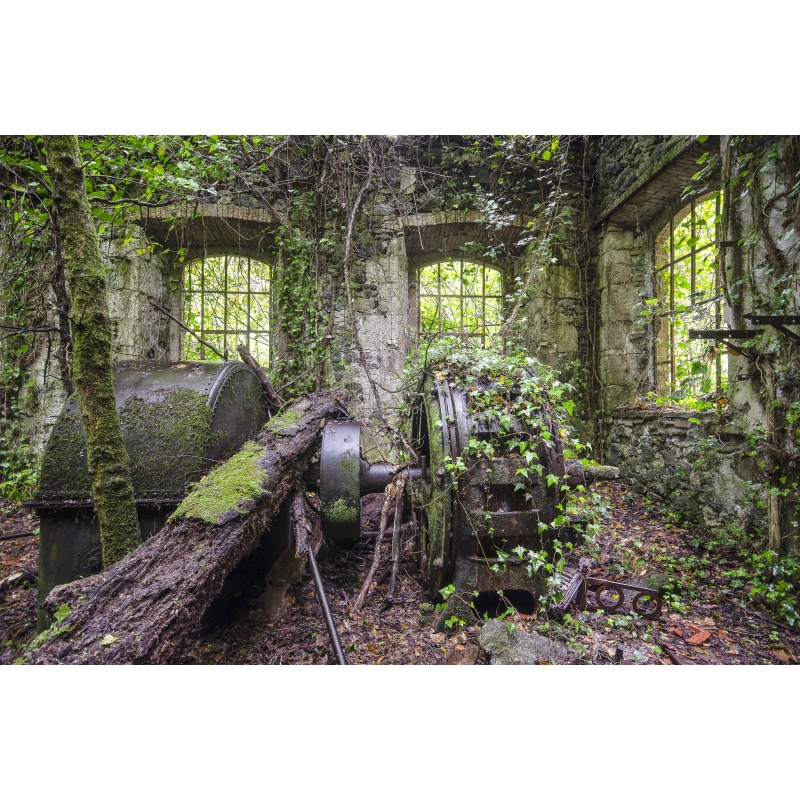Photo urbex Turbine végétale - Italie par Chico Lakaï - Galerie 361