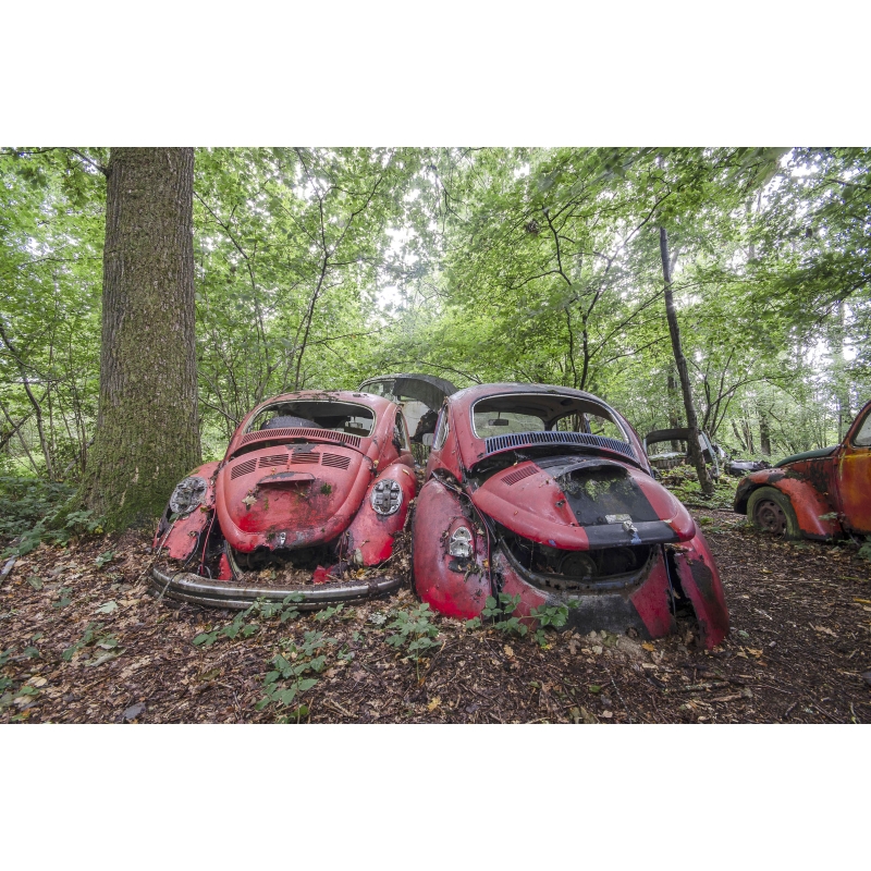 Photo urbex Coccinelles par Chico Lakai - Galerie 361