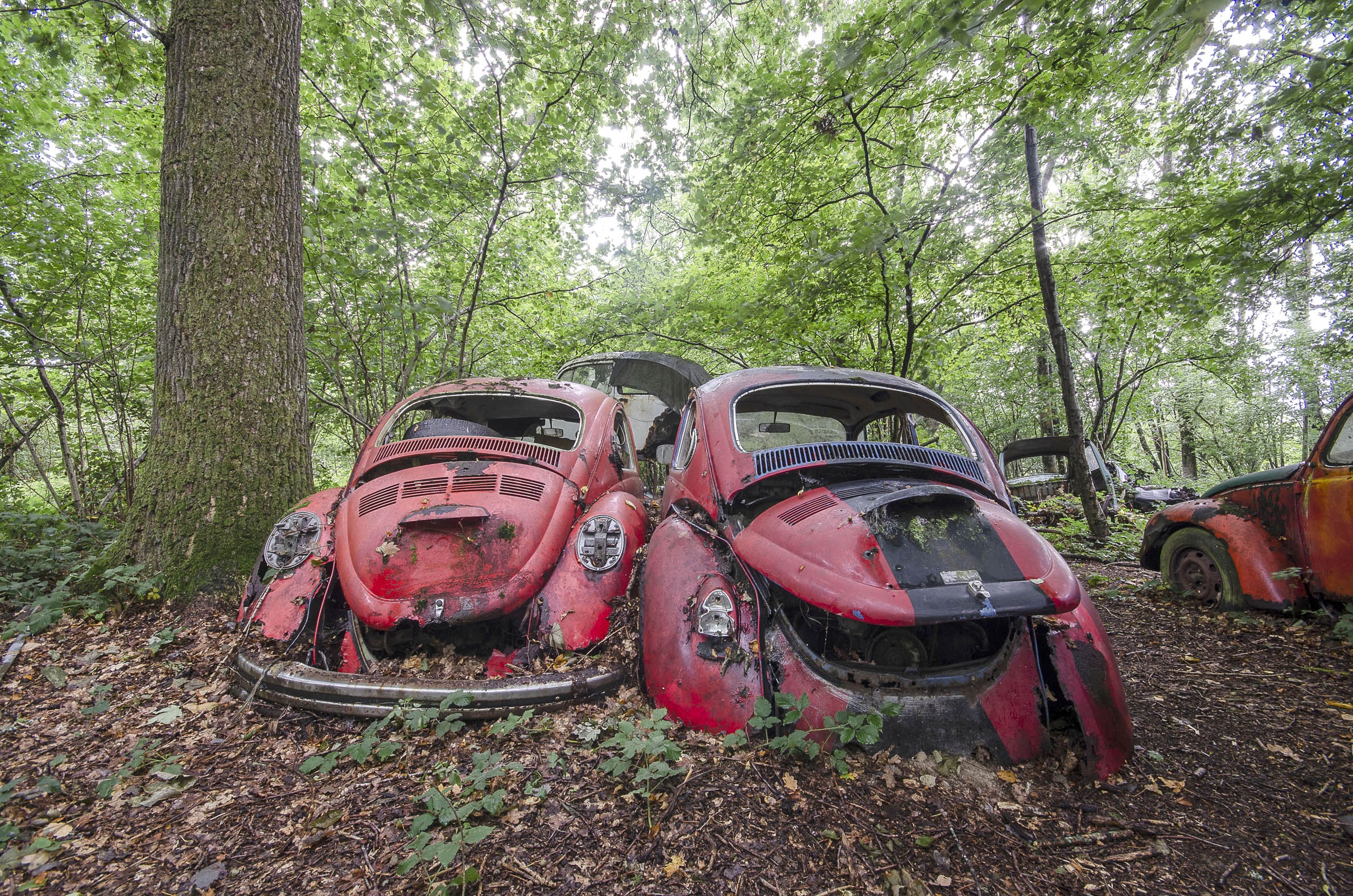 Photo urbex Coccinelles par Chico Lakai - Galerie 361