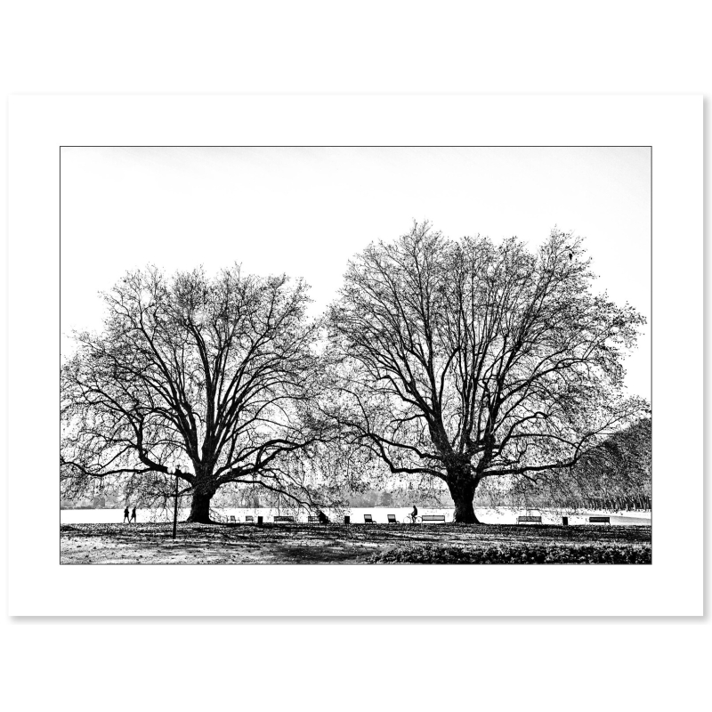 Lac d'Annecy - Arbres par Annick Girardot - Galerie 361