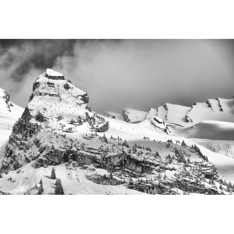 Le roi Lion - Balme - La Clusaz par Annick Girardot - Galerie 361