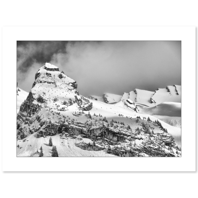Le roi Lion - Balme - La Clusaz par Annick Girardot - Galerie 361