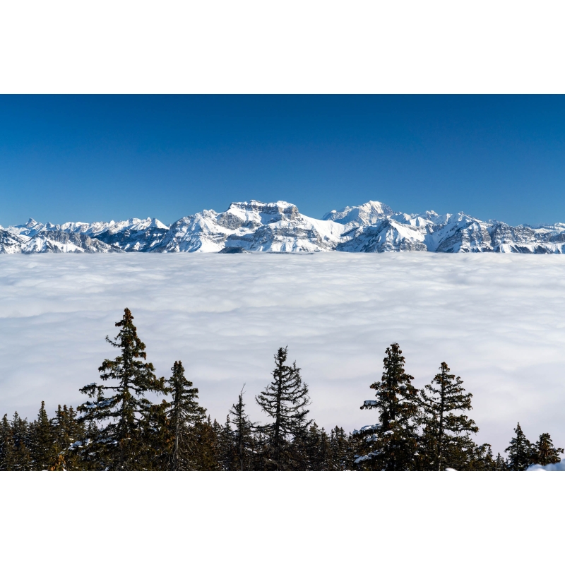 La Tournette depuis le Semnoz par Anthony Chenot - Galerie 361