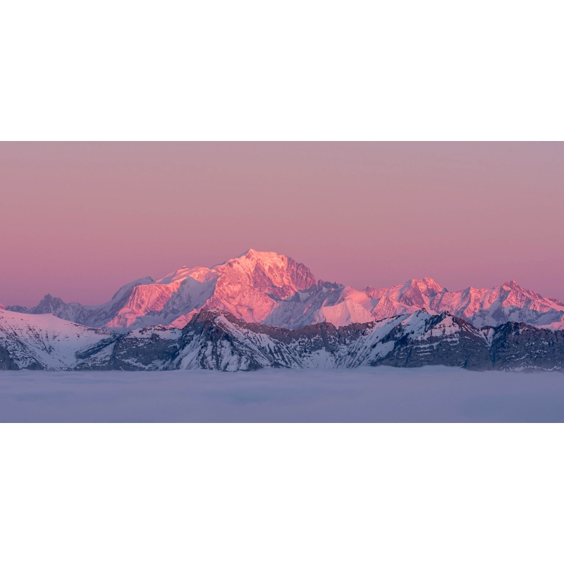 La vie en rose, Annecy Semnoz par Philippe Jacquot - Galerie 361