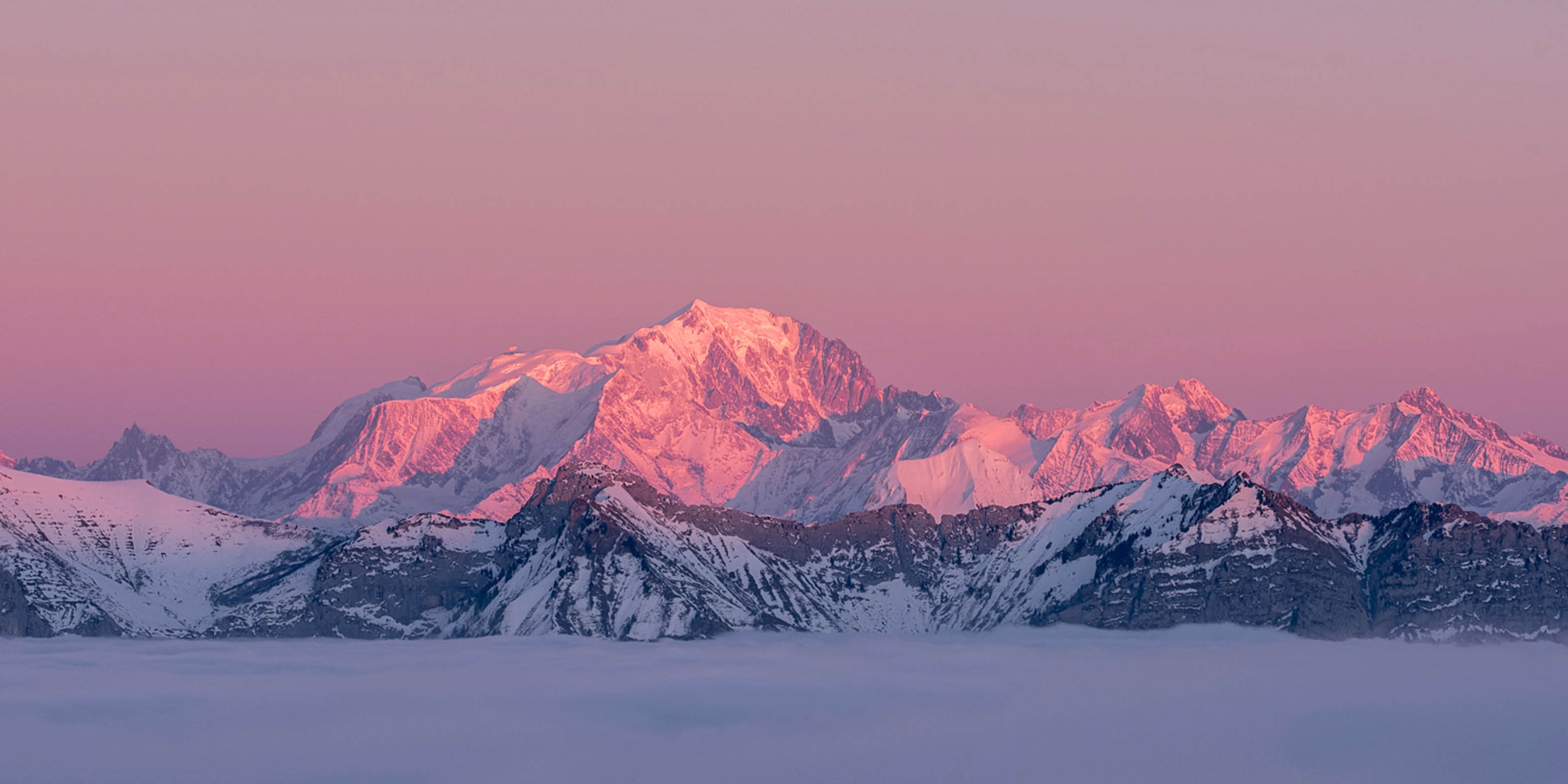 La vie en rose, Annecy Semnoz par Philippe Jacquot - Galerie 361