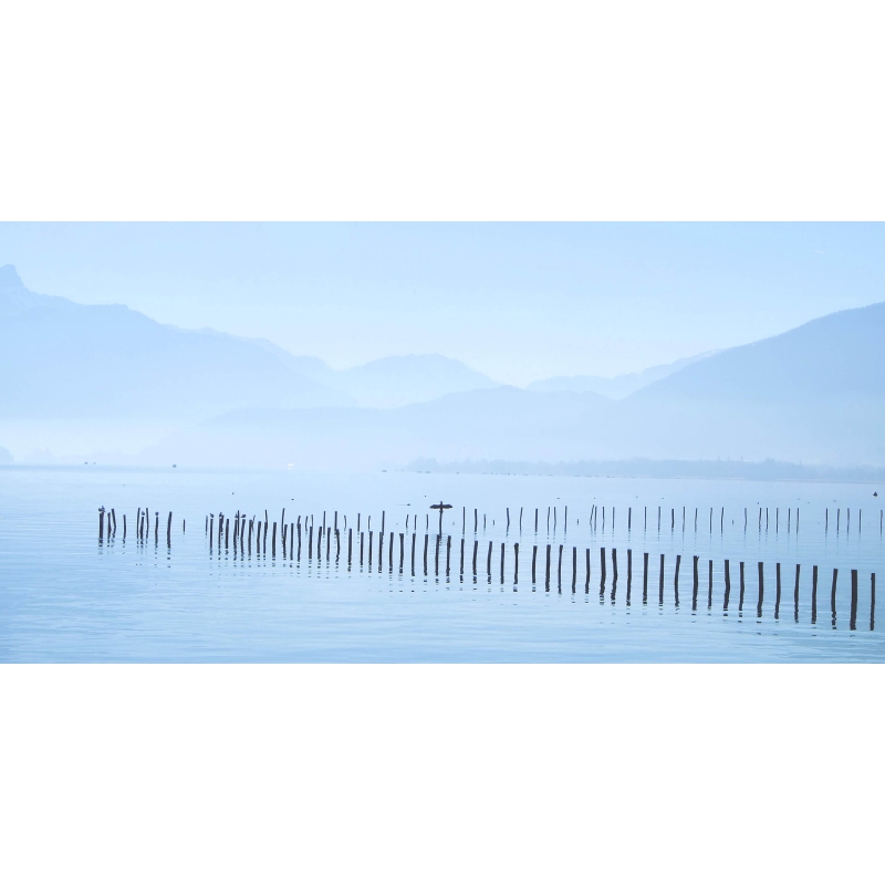 Photo Lac d'Annecy et cormoran par Gilles Marguerat - Galerie 361