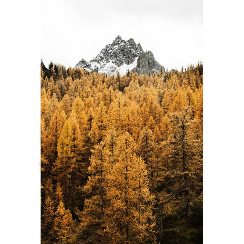 Couleurs d’automne dans la vallée de la Clarée par Marc daviet
