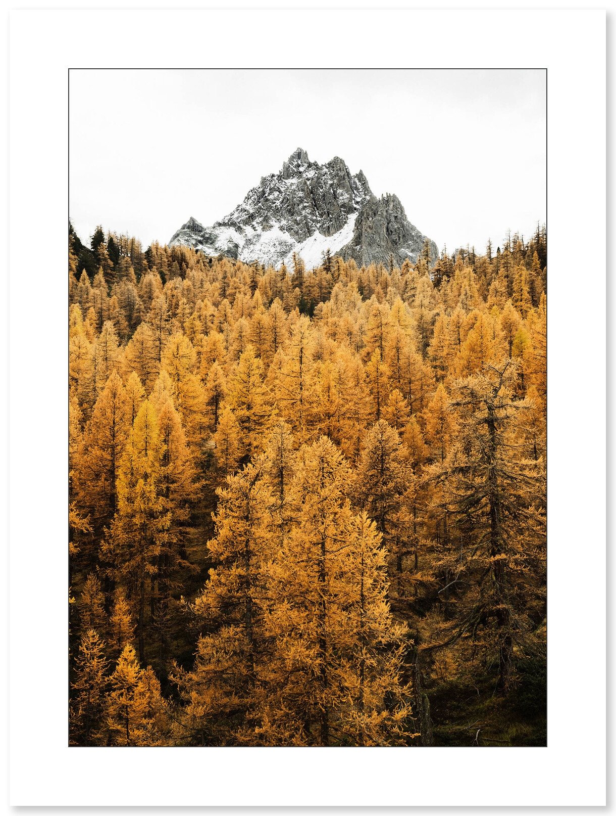 Couleurs d’automne dans la vallée de la Clarée par Marc daviet