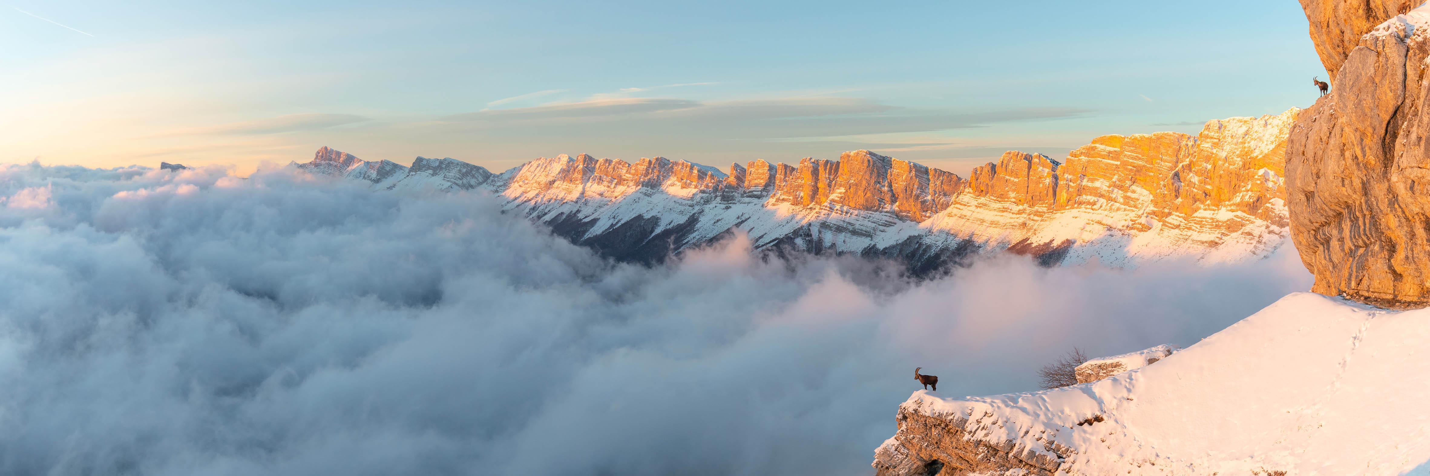 Les sentinelles du Vercors