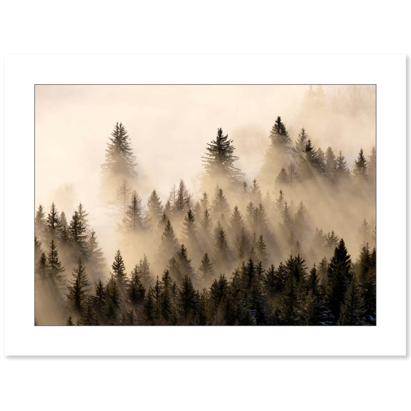 Lueurs dans la brume - Vercors