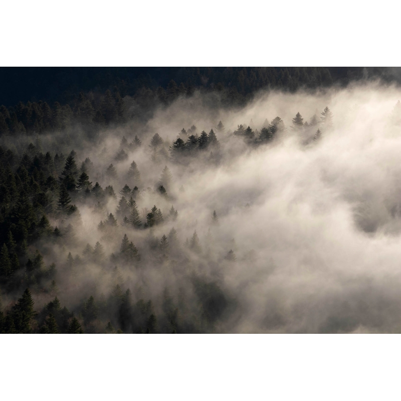 Les Brumes du Vercors par Nicolas Ougier