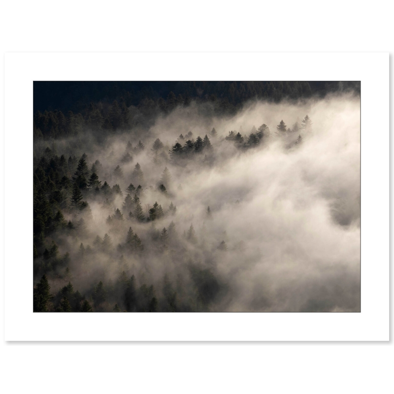 Les Brumes du Vercors par Nicolas Ougier