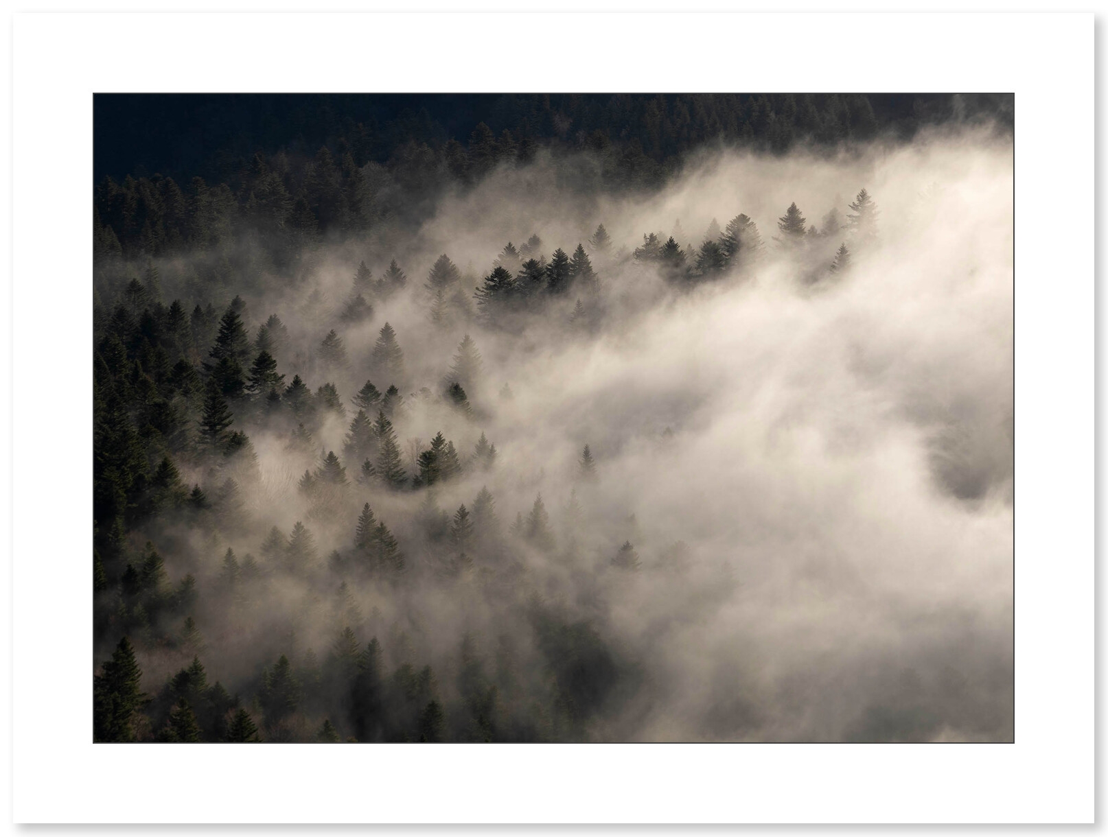 Les Brumes du Vercors par Nicolas Ougier