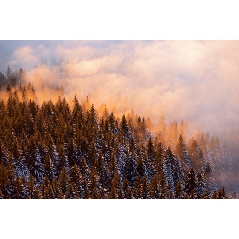 Lueurs d'hiver dans le Vercors par Nicolas Ougier