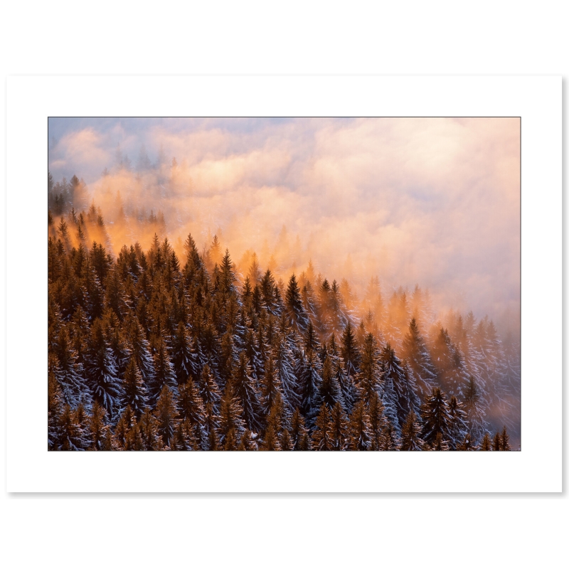Lueurs d'hiver dans le Vercors par Nicolas Ougier