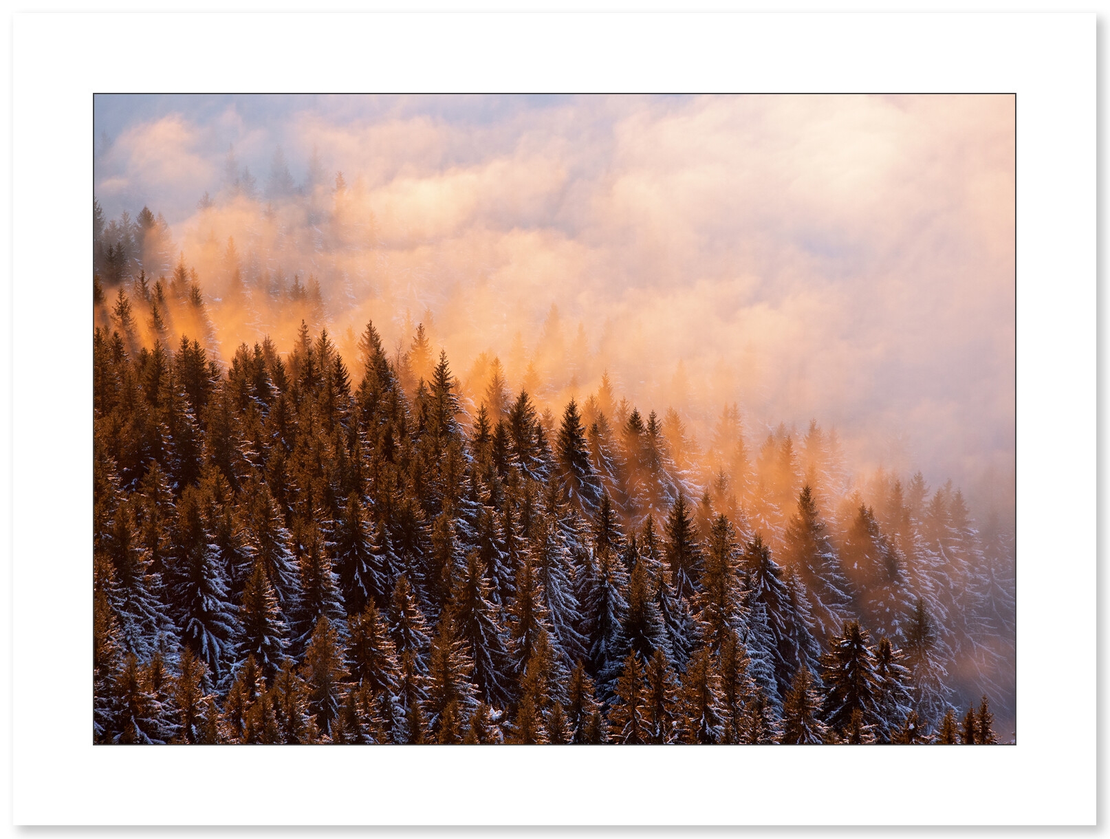 Lueurs d'hiver dans le Vercors par Nicolas Ougier