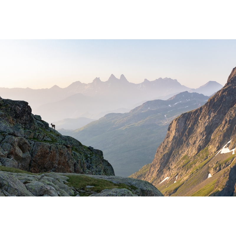 Les Aiguilles d'Arves depuis Belledonne par Nicolas Ougier