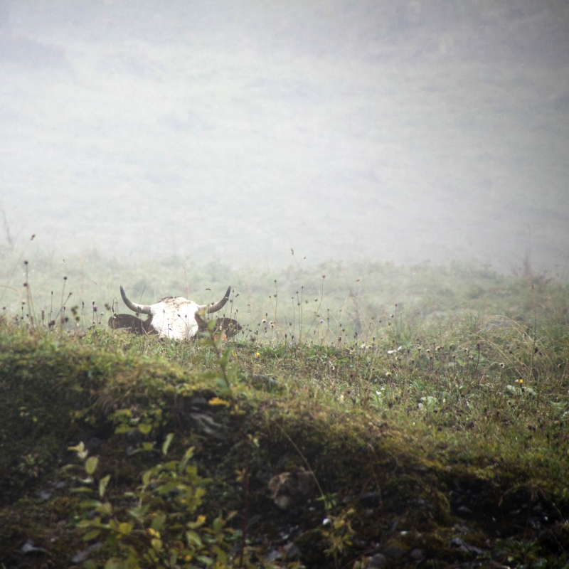 Cachée dans la brume
