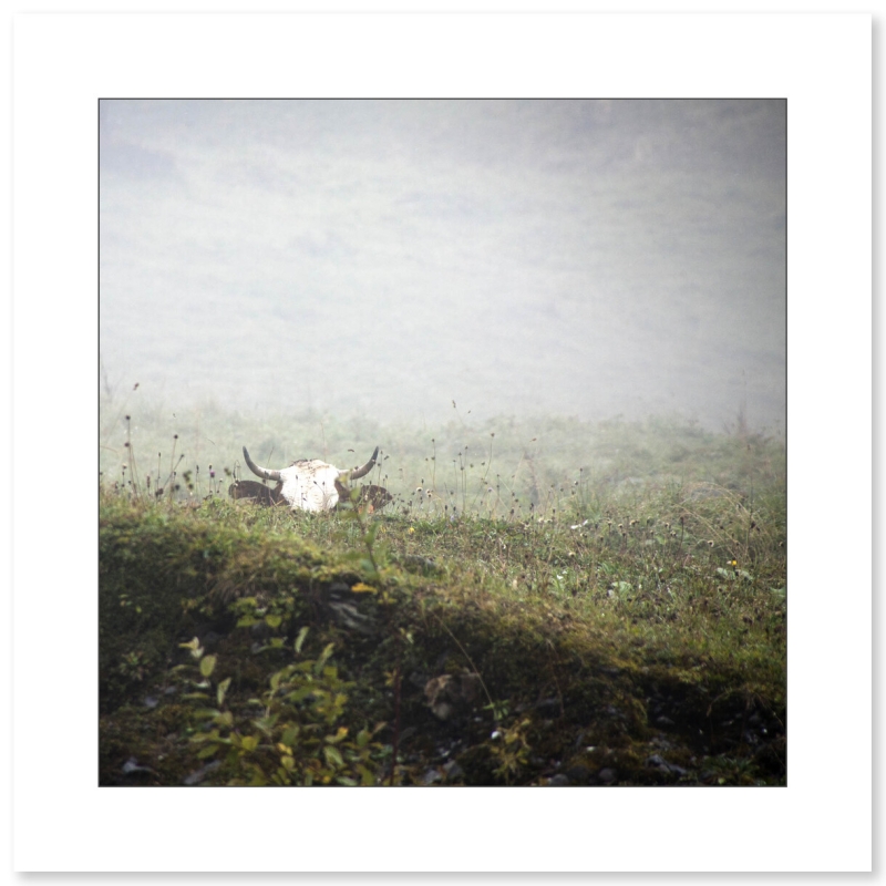 Cachée dans la brume