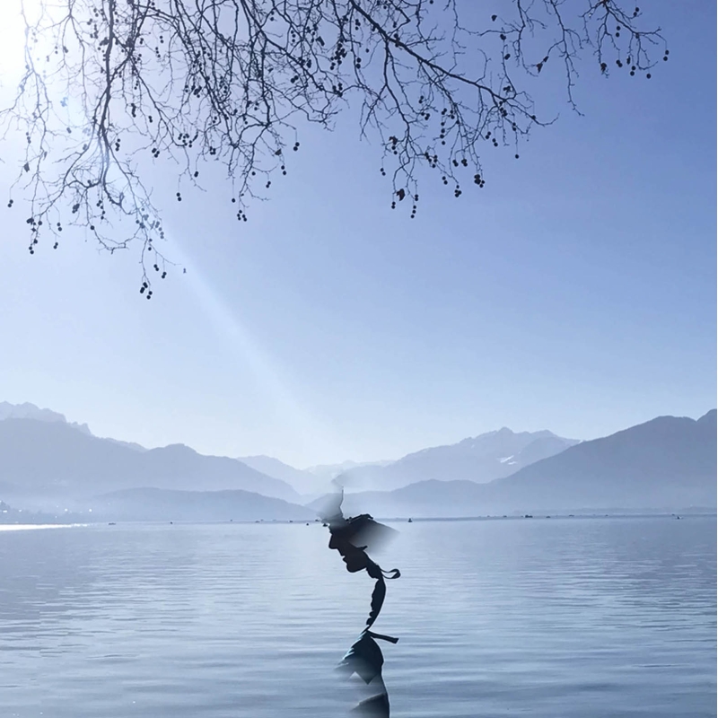 Mystère sur le lac par William Pestrimaux