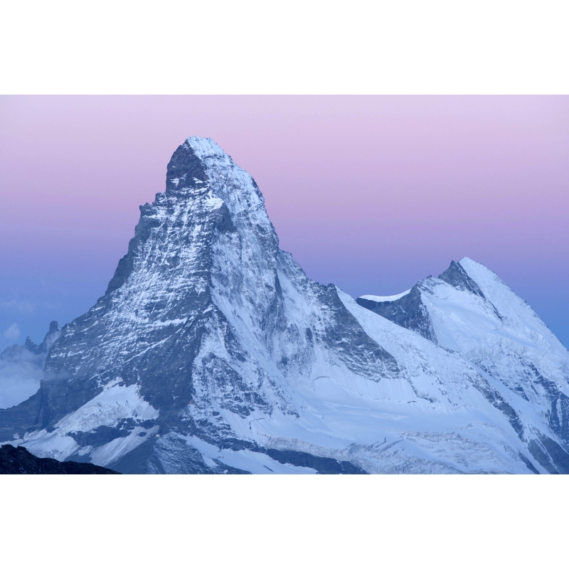 Photo Cervin rose par Guillaume Sévar - Galerie 361