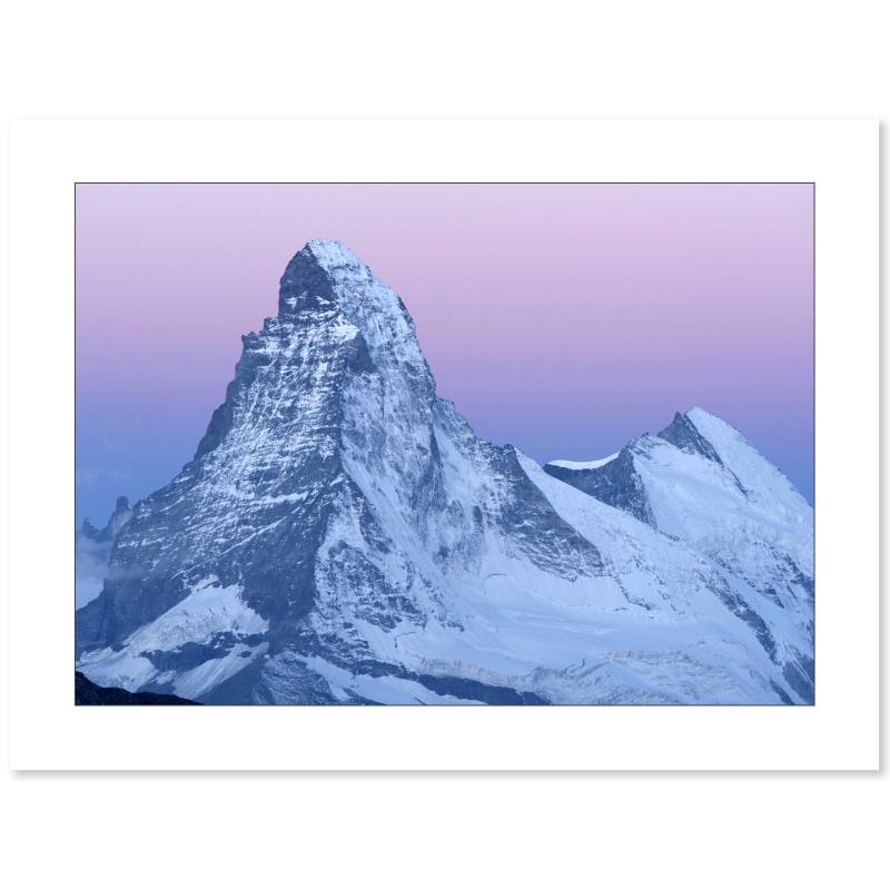 Photo Cervin rose par Guillaume Sévar - Galerie 361