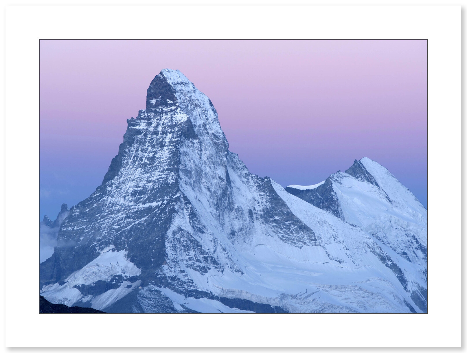 Photo Cervin rose par Guillaume Sévar - Galerie 361