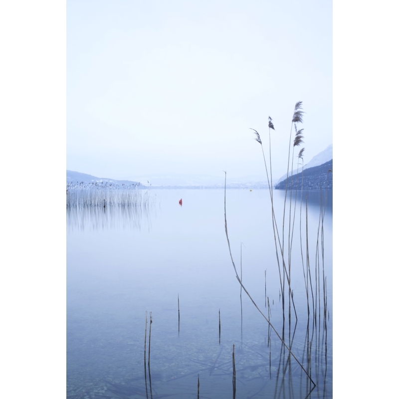Les roseaux du bout du lac par Christelle Calmettes - Galerie 361