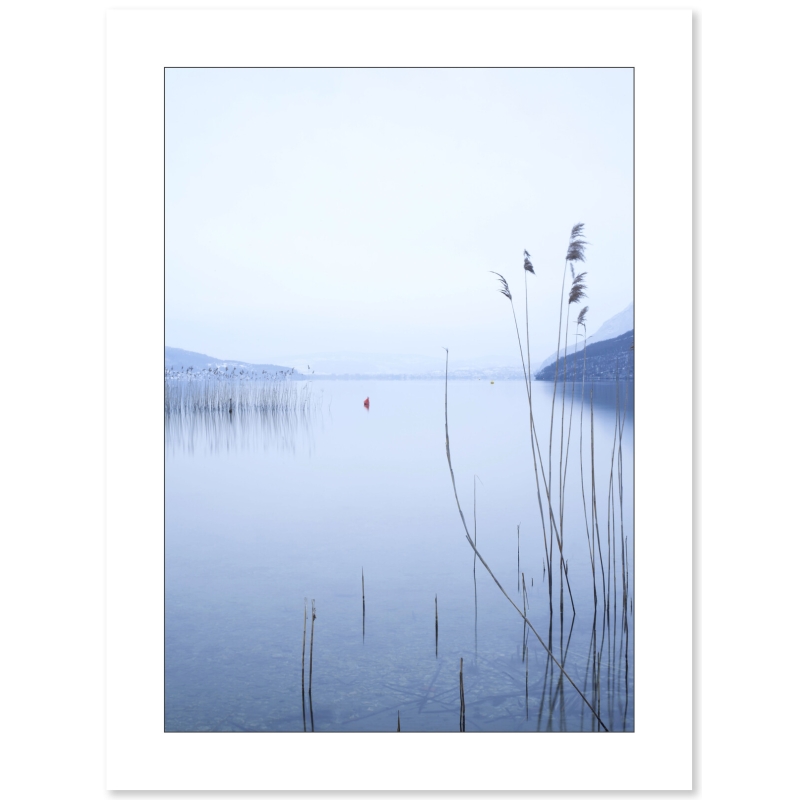 Les roseaux du bout du lac par Christelle Calmettes - Galerie 361