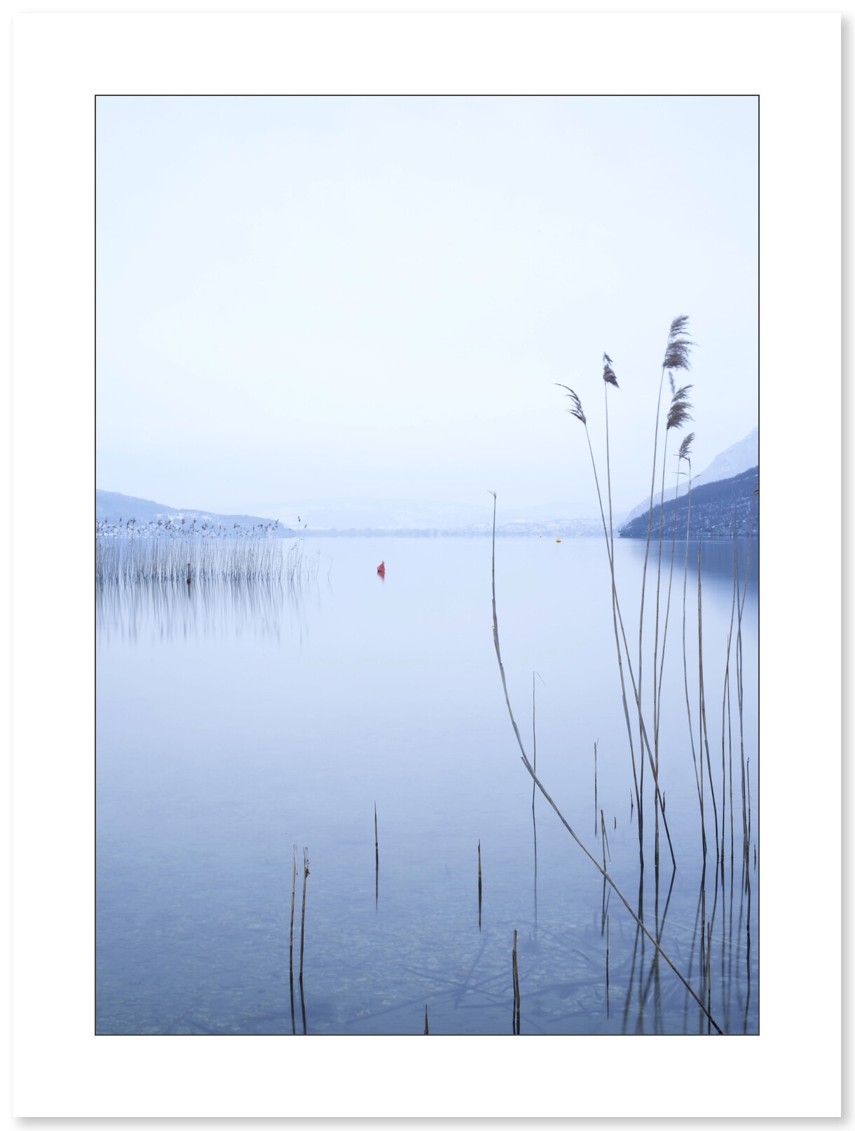 Les roseaux du bout du lac par Christelle Calmettes - Galerie 361