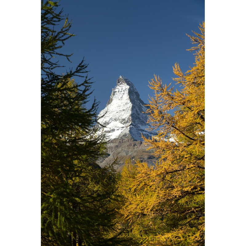 Portrait d'Automne, Mont Cervin, Suisse par Anthony Chenot - Galerie 361