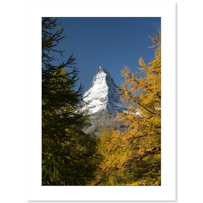 Portrait d'Automne, Mont Cervin, Suisse par Anthony Chenot - Galerie 361