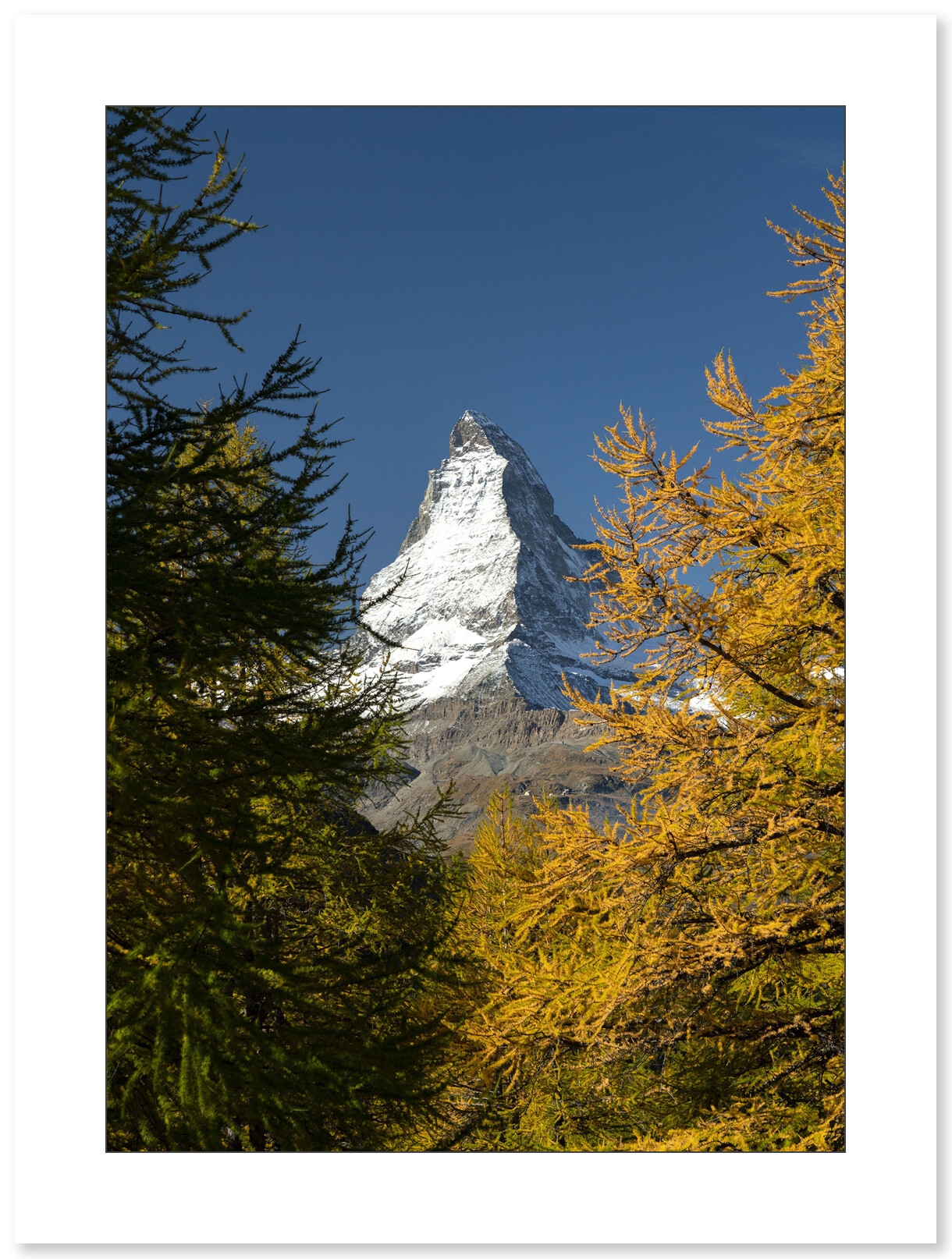 Portrait d'Automne, Mont Cervin, Suisse par Anthony Chenot - Galerie 361