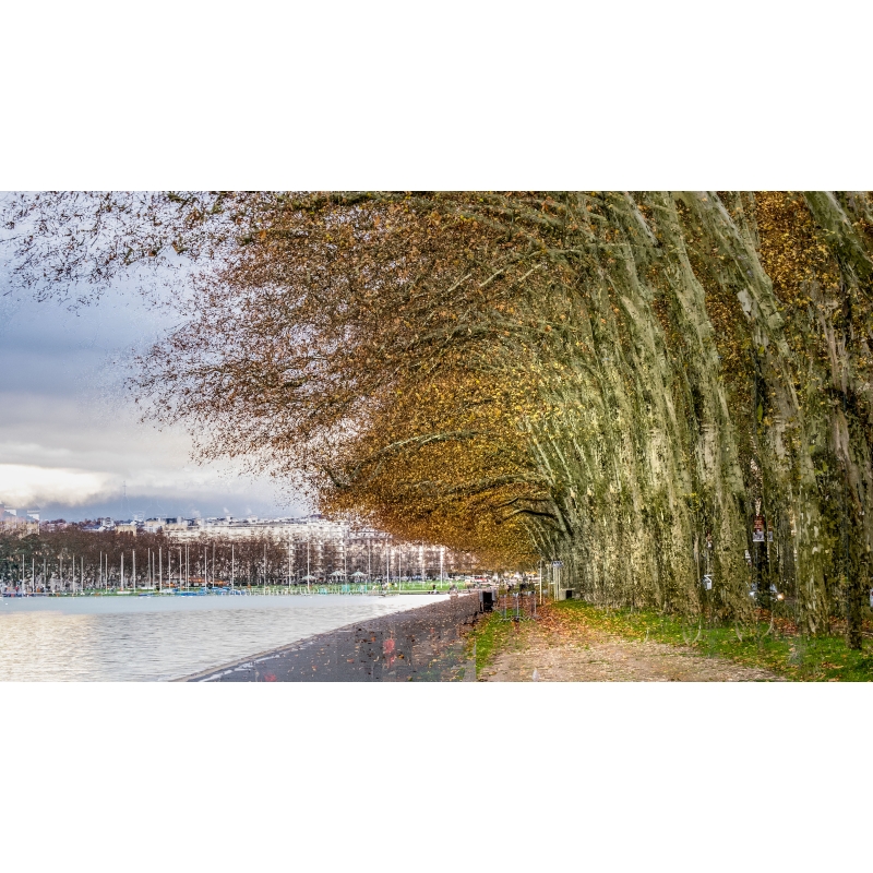 Promenade du Lac par Gilles Marguerat - Galerie 361