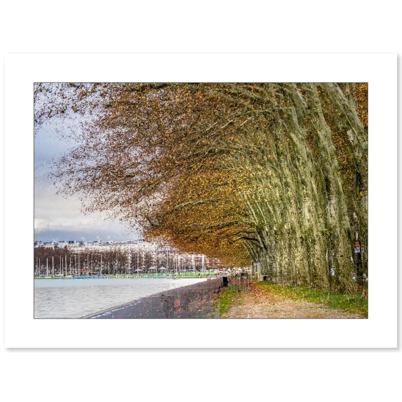Promenade du Lac par Gilles Marguerat - Galerie 361
