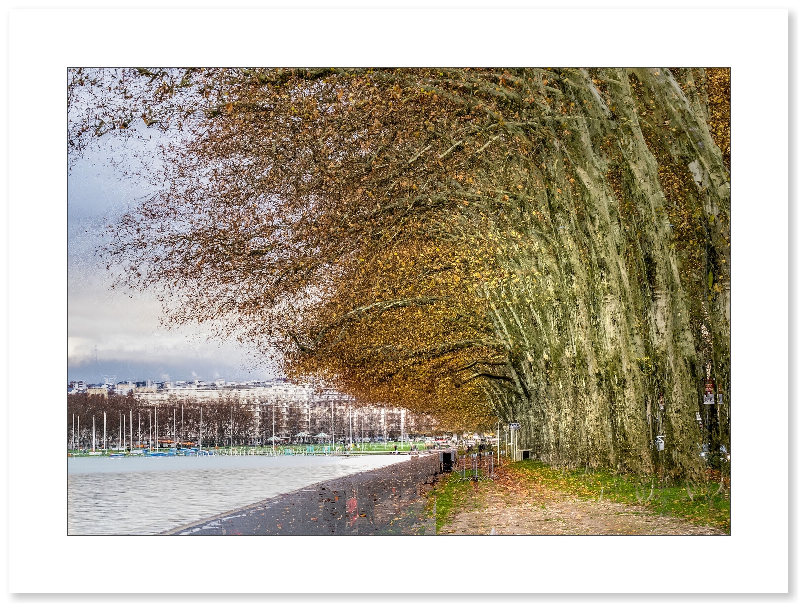 Promenade du Lac par Gilles Marguerat - Galerie 361