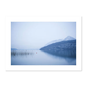 Lac d'Annecy et roseaux