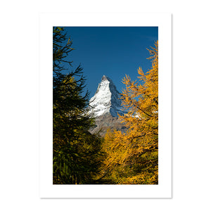 Portrait d'Automne, Mont Cervin, Suisse