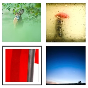 Couleurs
